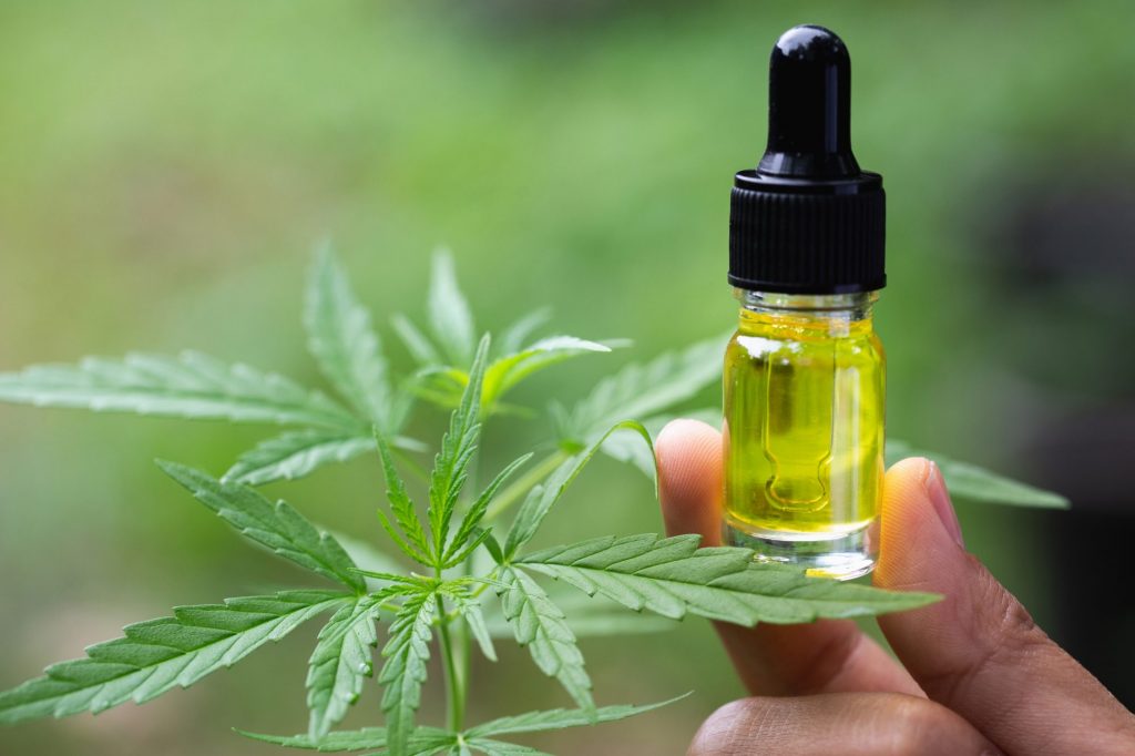 How to use the CBD oil properly to get the most expected health benefits?