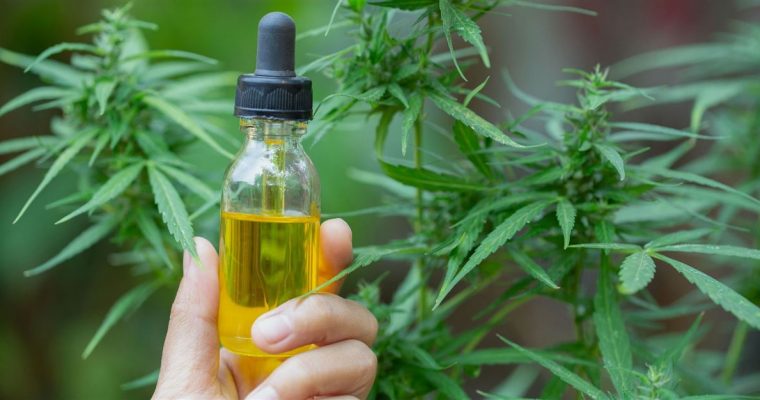 What is the purpose of using CBD oil?