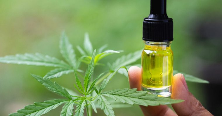 The Importance  of Using CBD Oil for Health Improvement