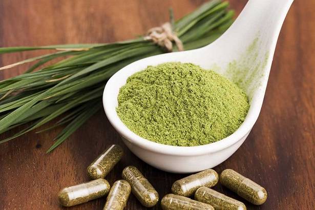 Kratom’s Rising Popularity: What You Need to Know About Its Health Benefits