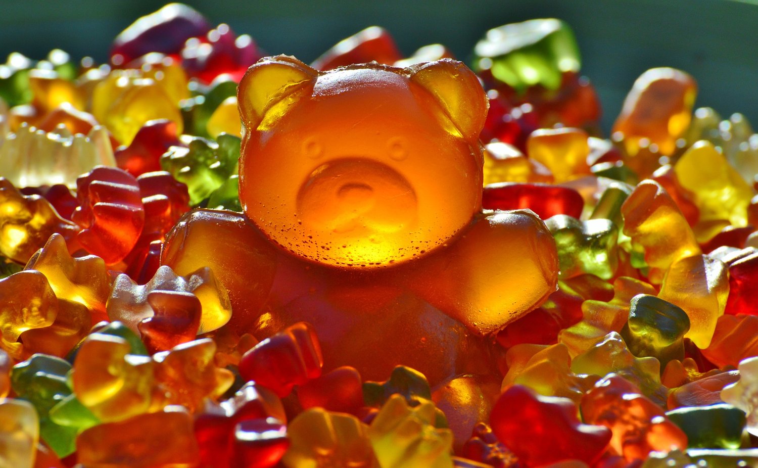 Discovering the World of Delta-10 Gummies is an Inquiry